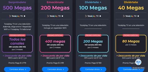 canales para adultos totalplay|Canales para adultos: Packs, precios y más 